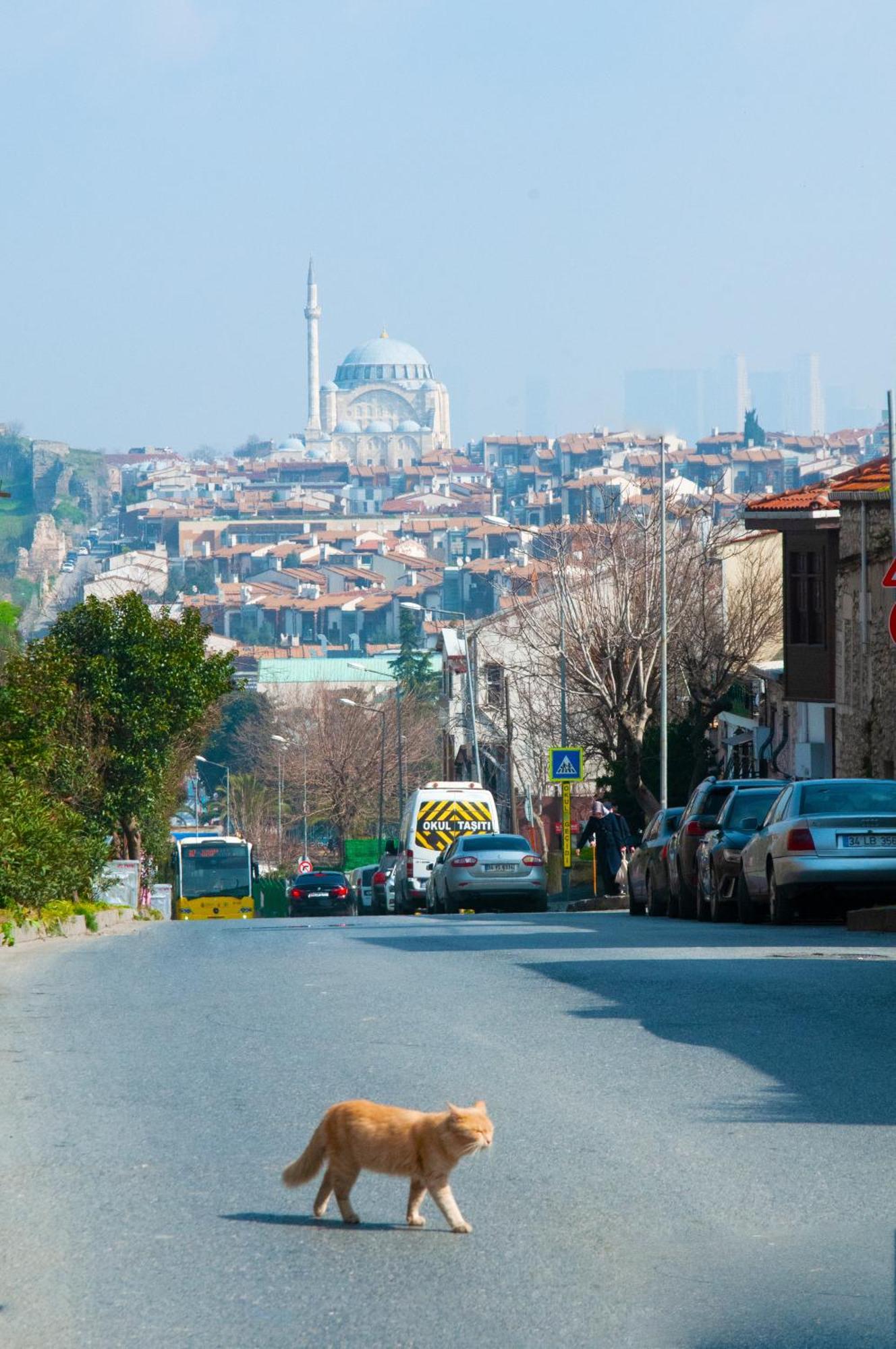 Istanbul Efes Hotel Eksteriør bilde